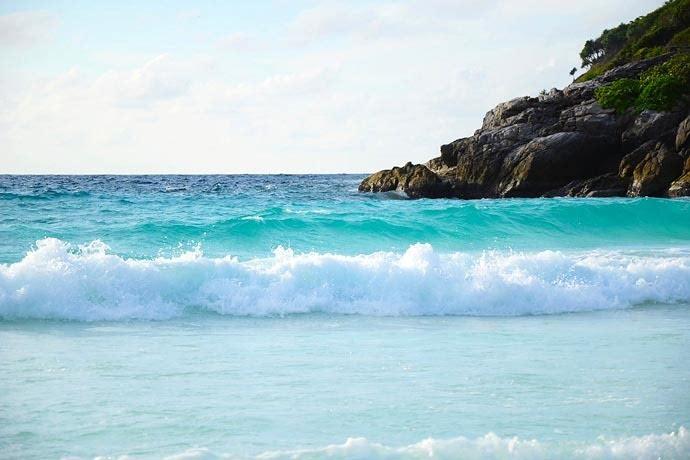 救援深海动物